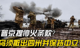 俄对乌开出停火“四要求”,俄对乌停火四要求概述