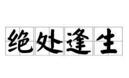绝处逢生的绝是什么意思,绝字背后的希望之光