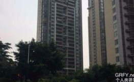 珠江新城二手房,价格波动与成交热潮交织