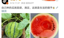 娱乐圈可以吃瓜,揭秘明星幕后故事,一起吃瓜!