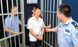 刑事拘留,法律程序、权利保障与案例分析