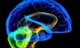 人脑工程,探索人工智能与生物医学融合的未来篇章