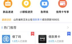 借贷宝 九鼎,揭秘互联网金融平台的兴衰之路