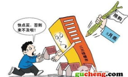 北京恐慌抢房,现象解析与市场动向揭秘
