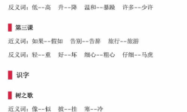 一瞬间的近义词是什么,时间的短暂与转瞬即逝
