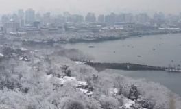 杭州大雪,桃花雪映衬下的繁花与飞雪