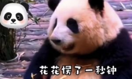 花花被游客喊胖子,网友呼吁尊重动物形象