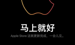 苹果新机预售：标准版遇冷,标准版销量低迷，Pro系列独领风骚解析